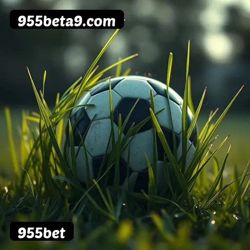 Loterias online disponíveis na 955bet